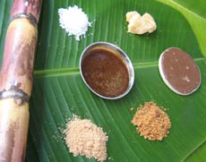 Refined White sugar